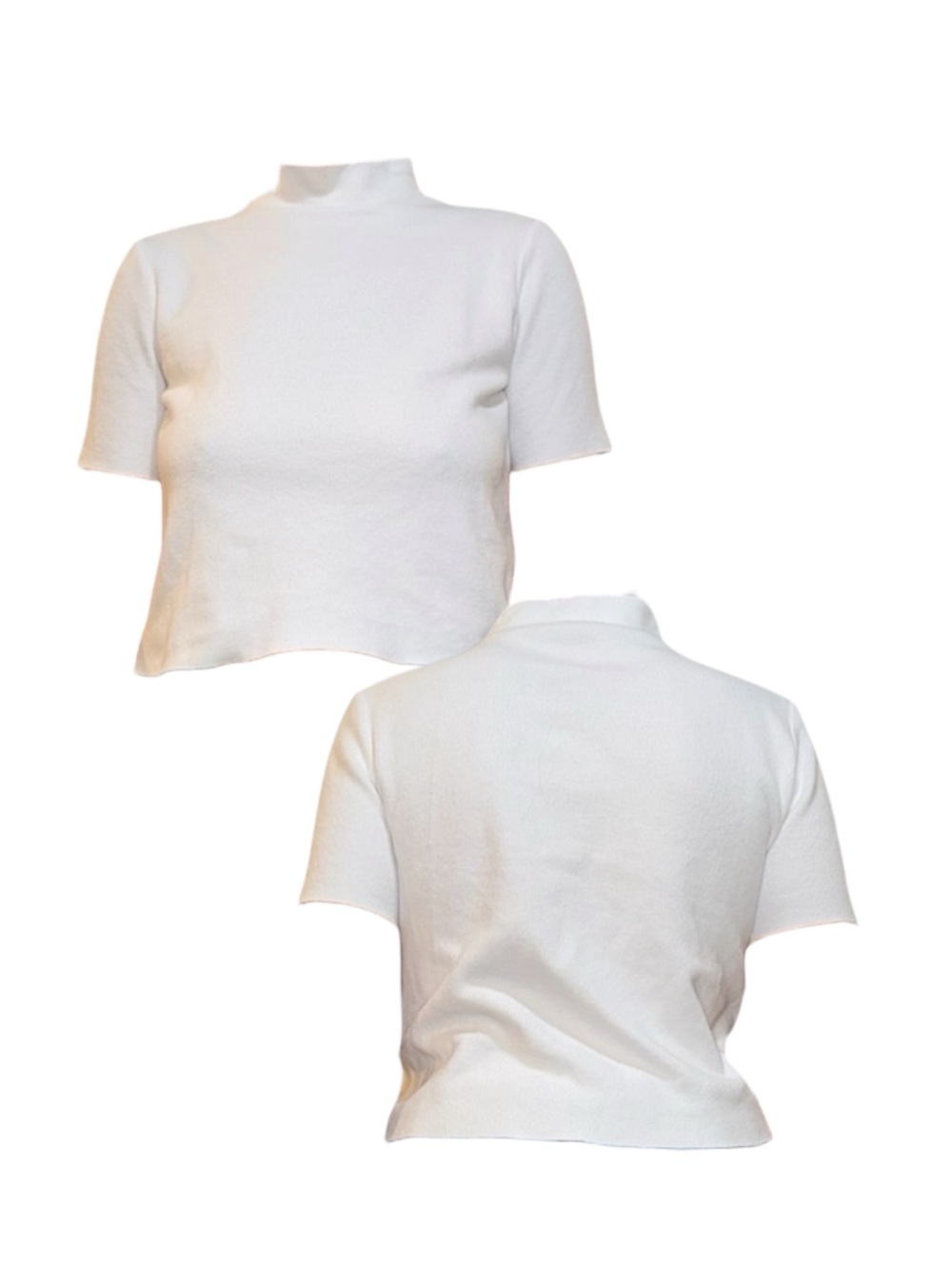Zara Ribbed Turtle Neck Crop Top